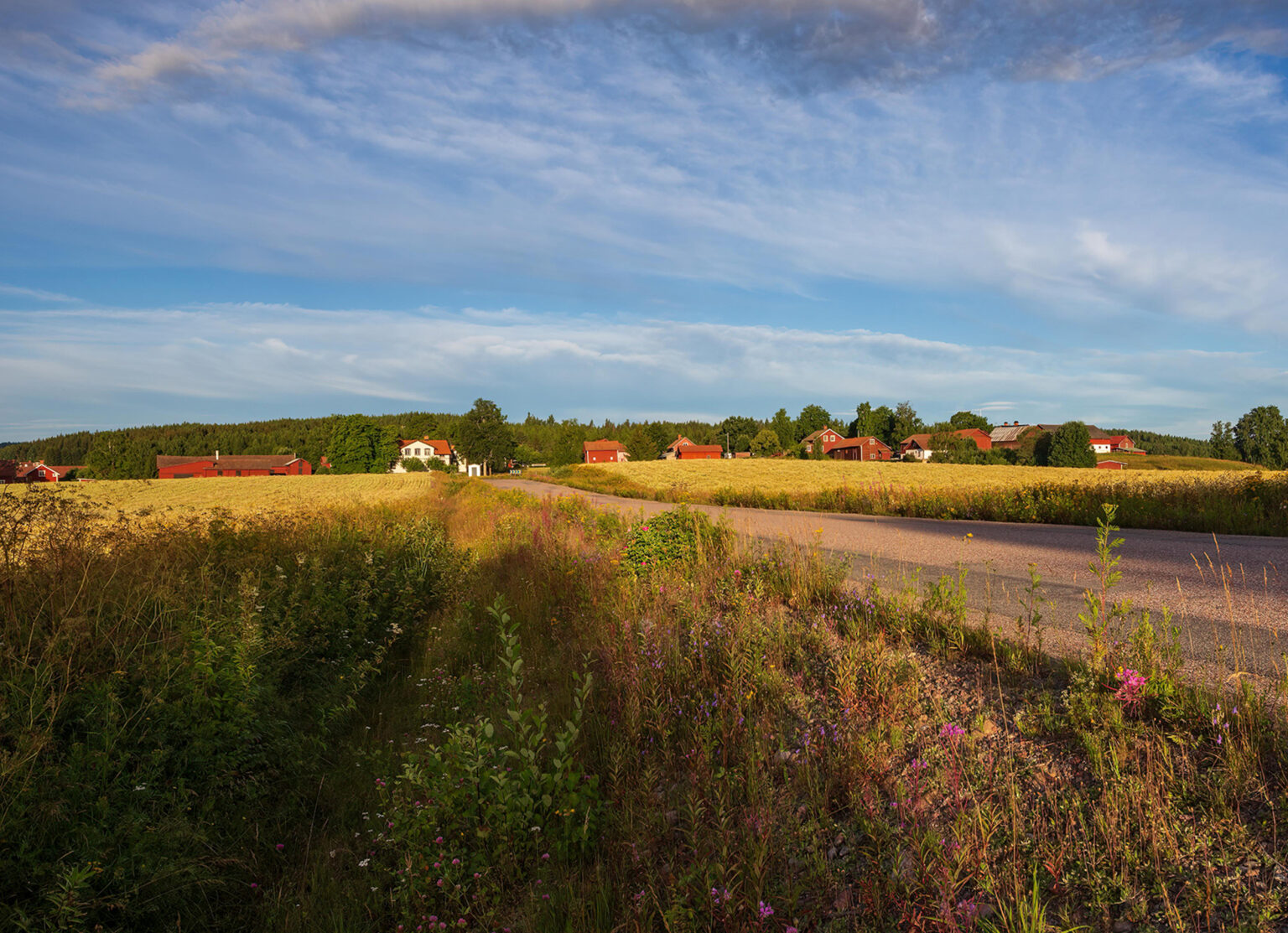 Bo i Hedemora Hedemora kommun