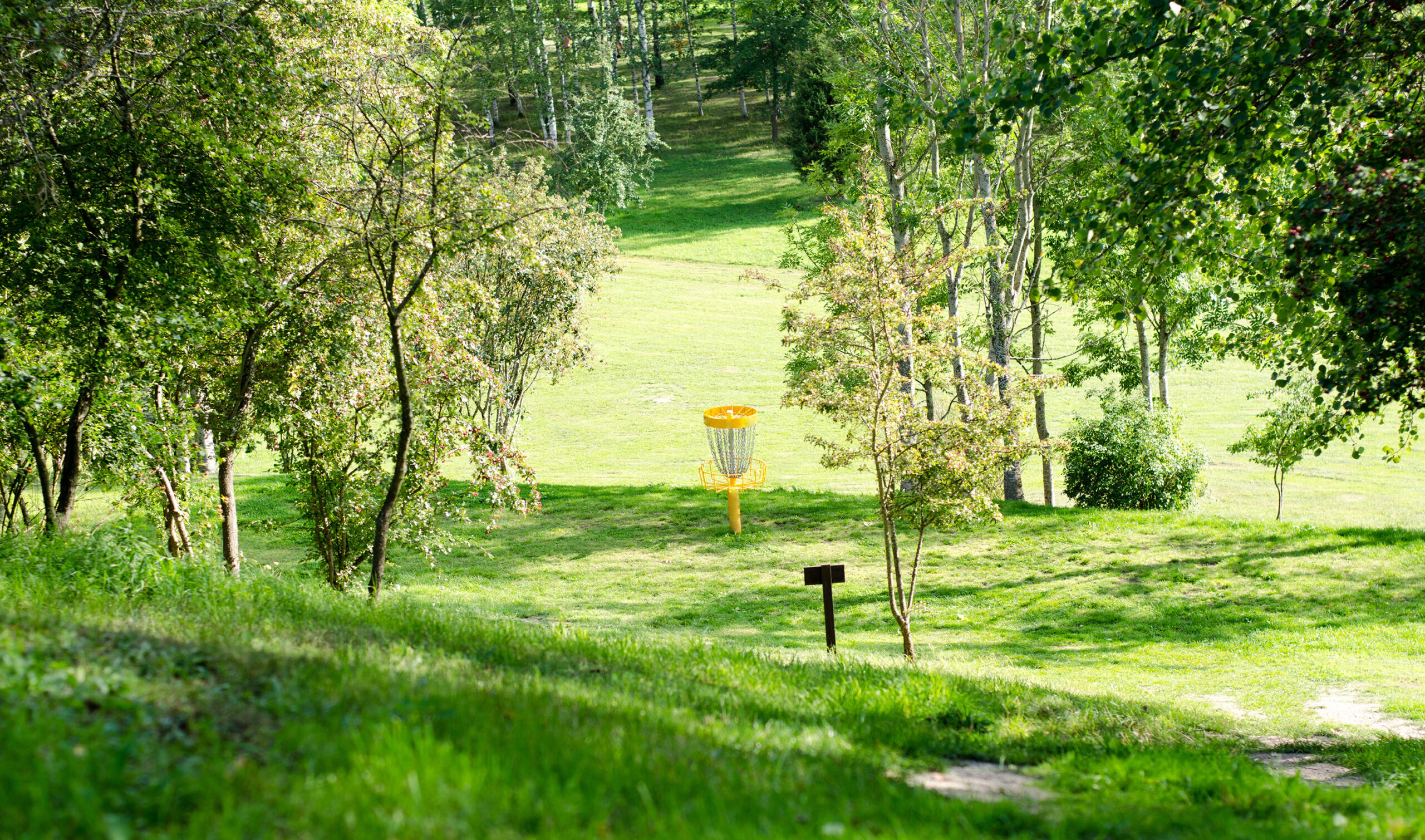 Ungdomar fixar aktiviteter för seniorer i sommar Hedemora kommun