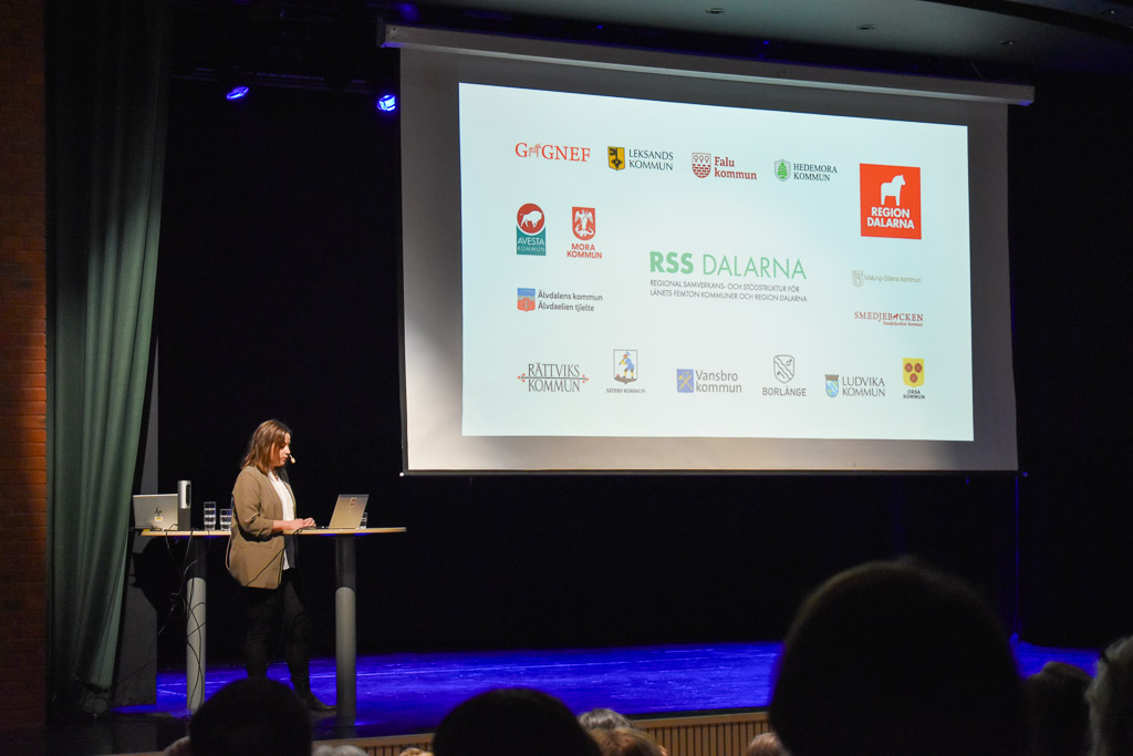 Caroline Mörk från RSS Dalarna föreläser.