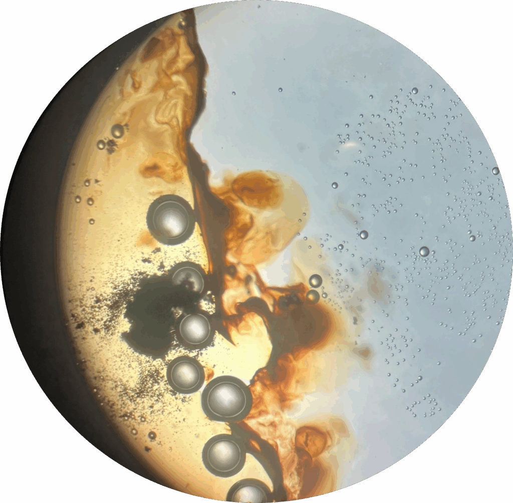 Bild från ett experiment sett genom ett mikroskop