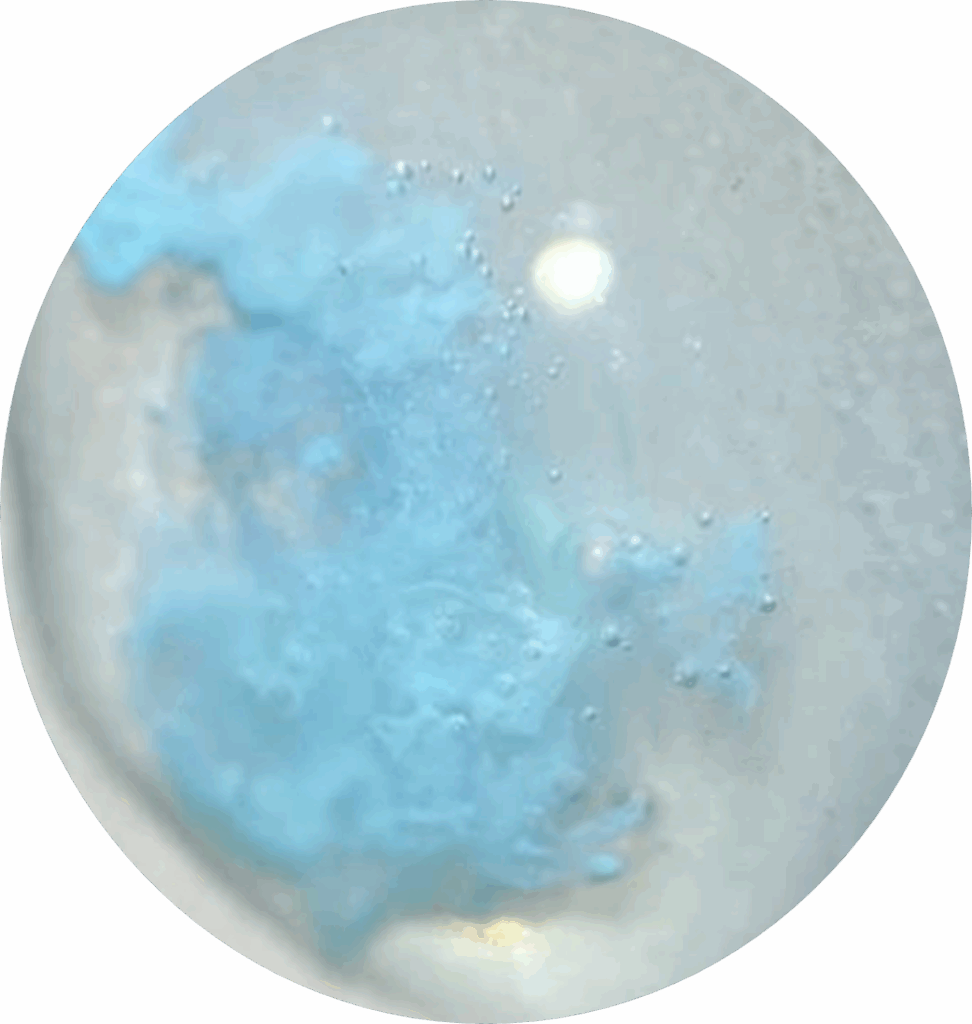 Bild från ett experiment sett genom ett mikroskop