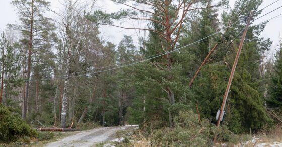 Elavbrott  – aktuell information