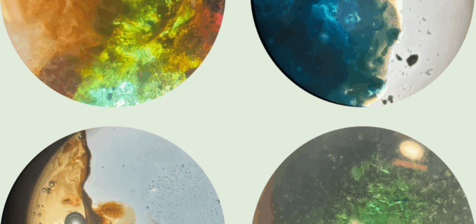 Bilder från ett experiment sett genom ett mikroskop