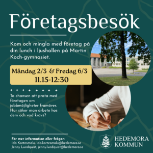 Företagsbesök på Martin Koch gymnasiet. Lunchmingel vecka 10. 