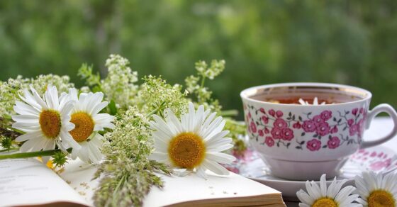 Blommor liggandes på en öppen bok, till vänster en blommig kopp på fat