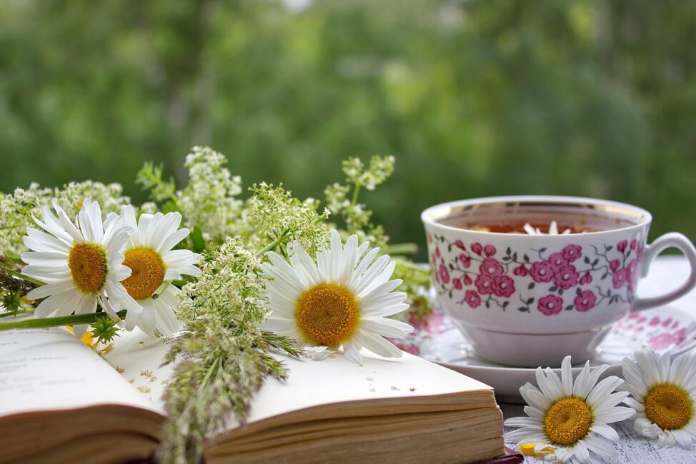 Blommor liggandes på en öppen bok, till vänster en blommig kopp på fat