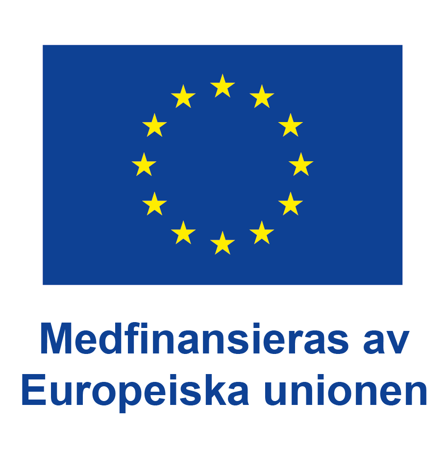 ESF-logga med texten medfinansieras av Europeiska unionen.