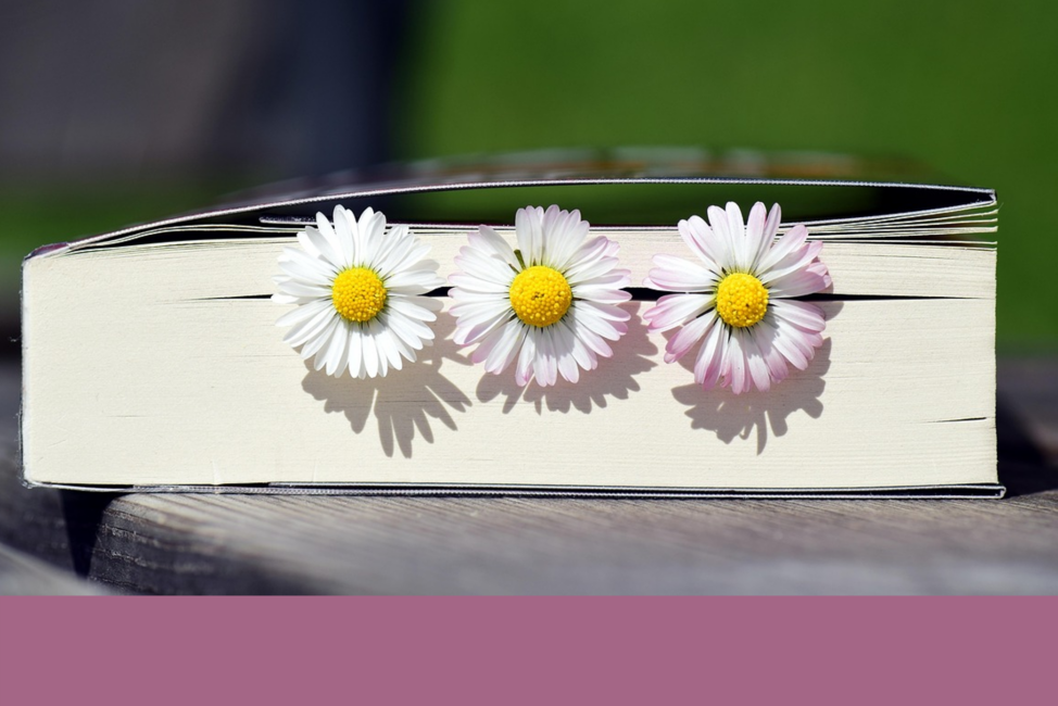 Tre vita blommor ligger i en bok