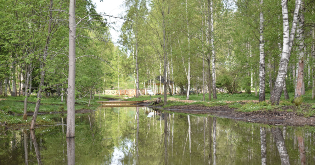 Vatten och broar vid lärplats Prostmyran.