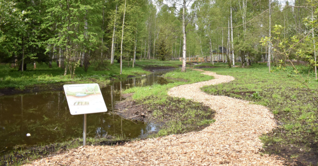 Vatten och gångväg vid lärplats Prostmyran