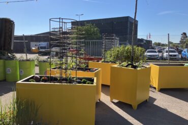 Sommarsatsning med grönska och sittplatser på Åsgatan