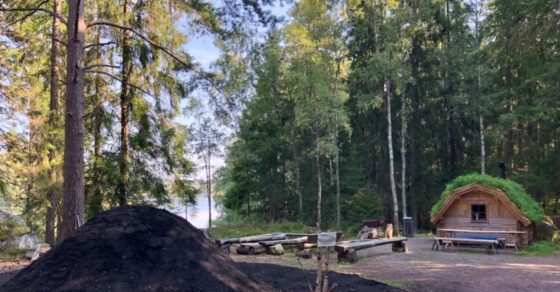 mila i skogen