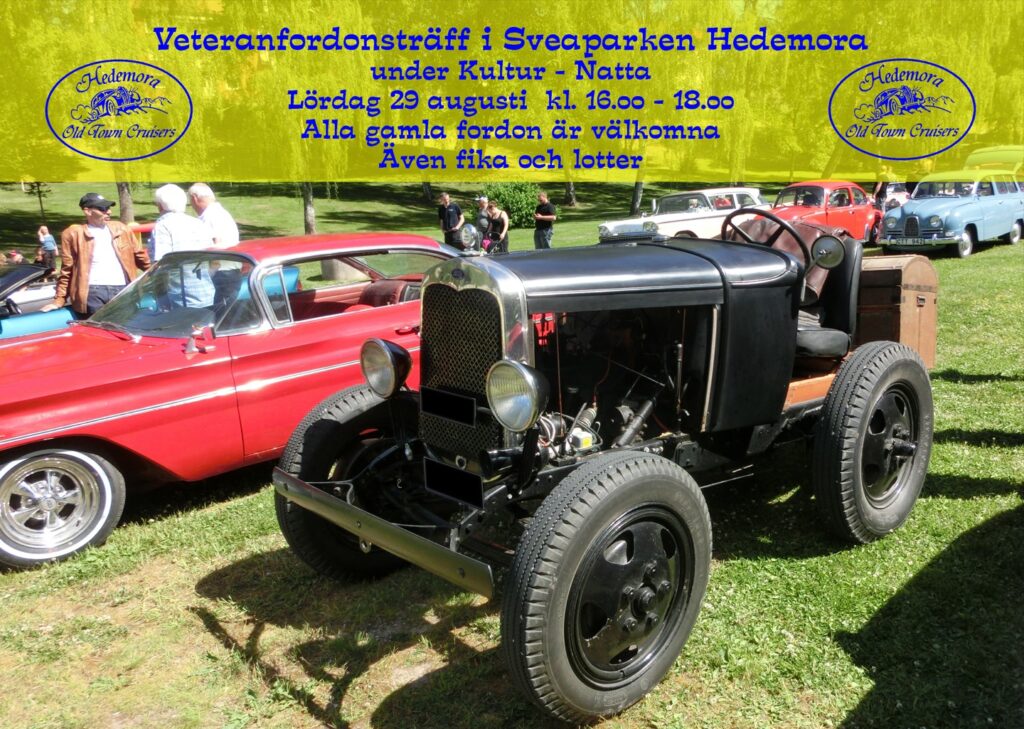 Veteranbilar utställda på gräsmatta med folk i bakgrunden.